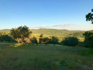 Le-parc-oliviers