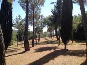 Vue-du-parc